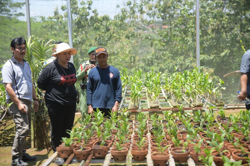 Pemkot Semarang Gandeng Svarnaloka Dalam Pengelolaan Sampah Organik