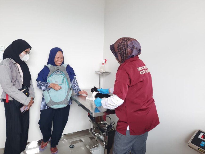 Butuh Perawatan Hewan Peliharaan? Pemkot Semarang Kini Buka Klinik Hewan